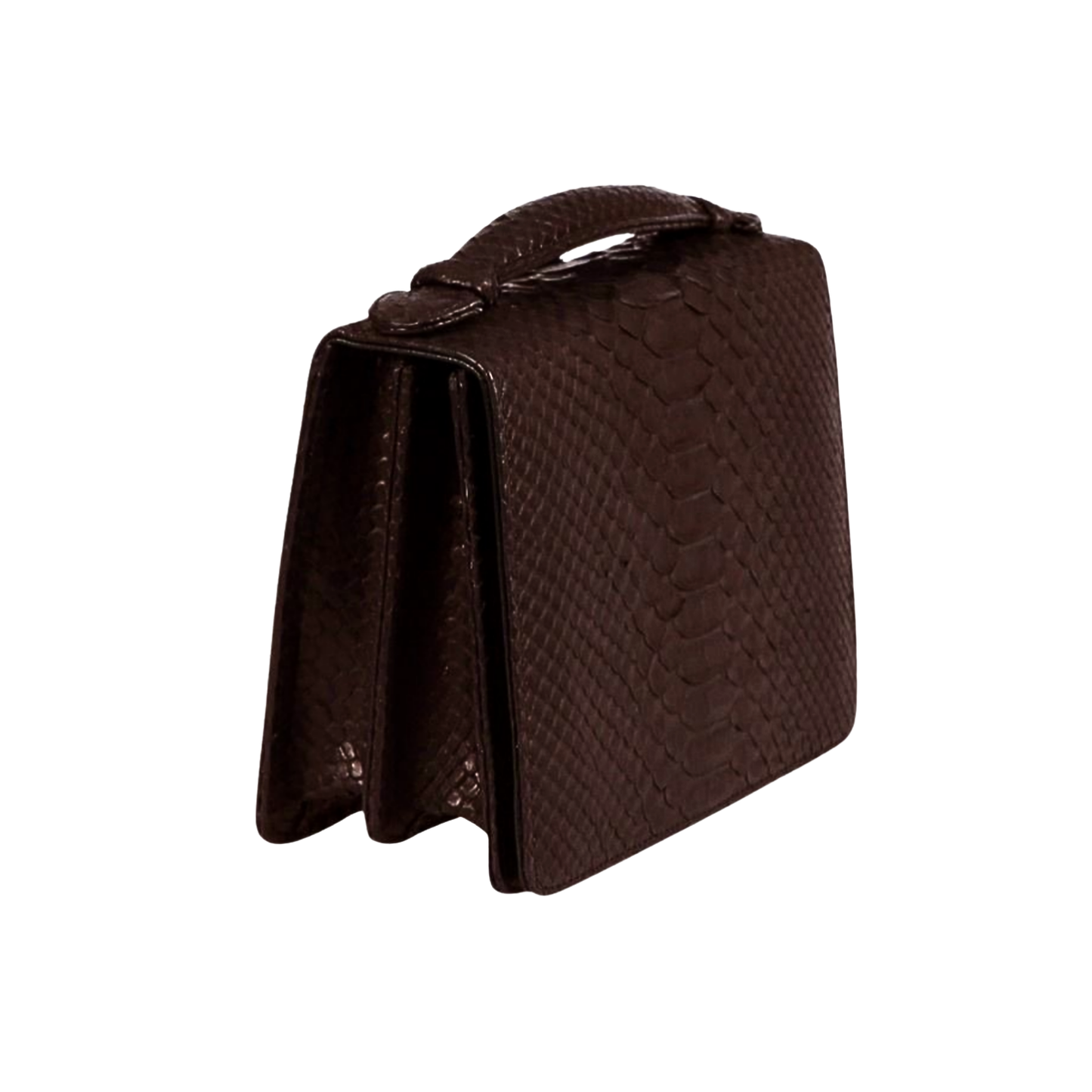 Annapolis Italian Python Leather Handbag