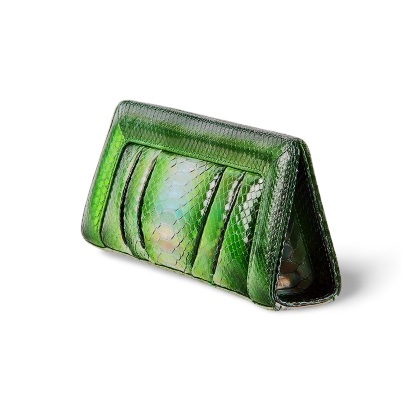 Malibu Italian Python Clutch