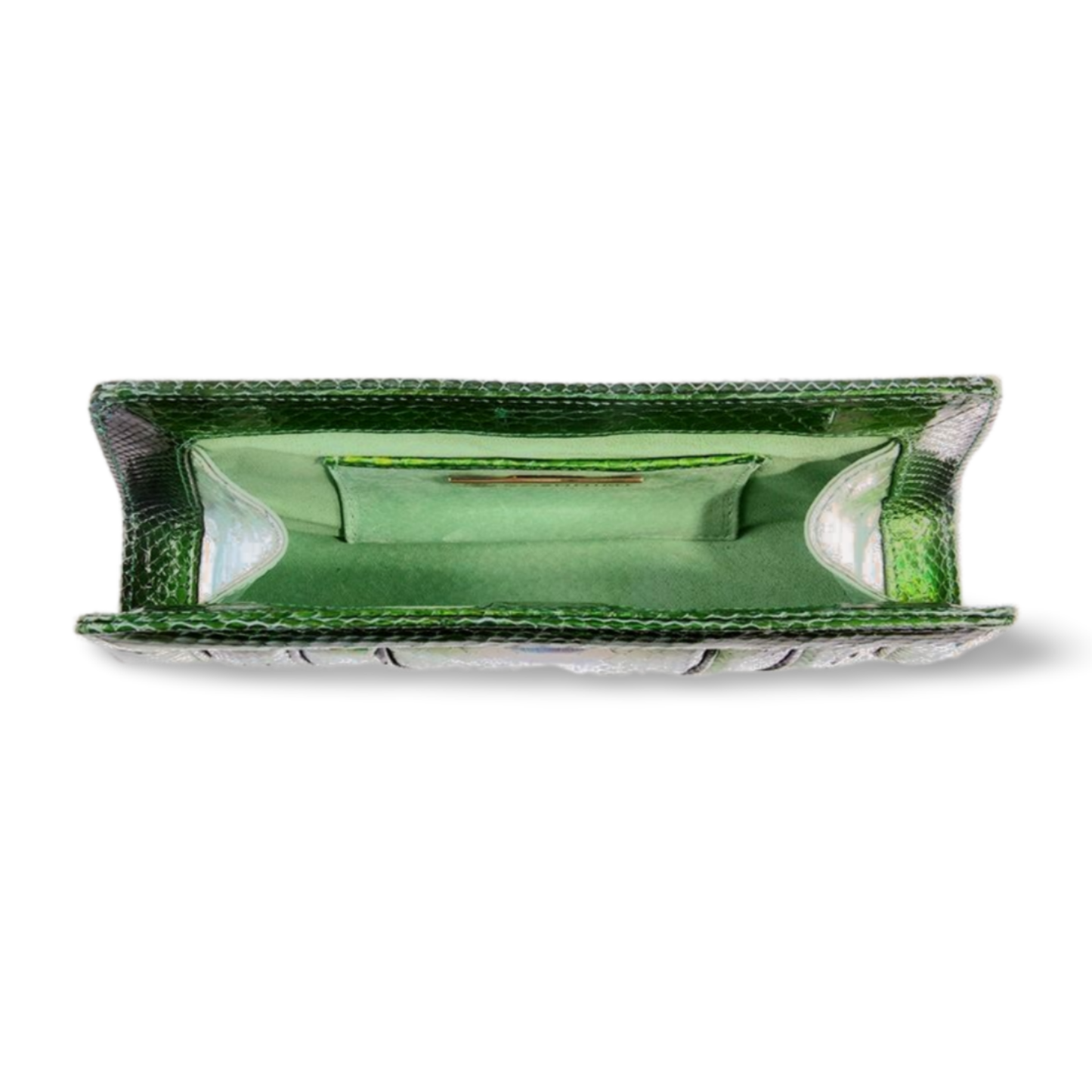 Malibu Italian Python Clutch