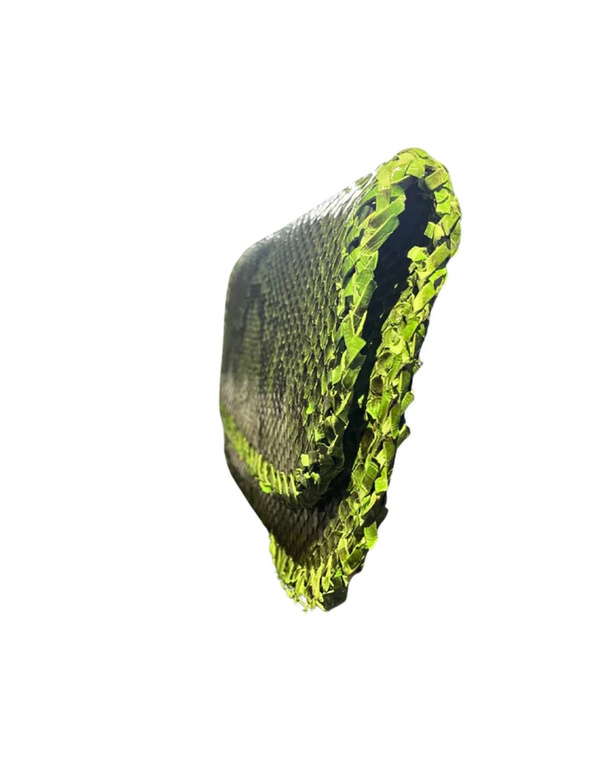 Milano Italian Python Clutch