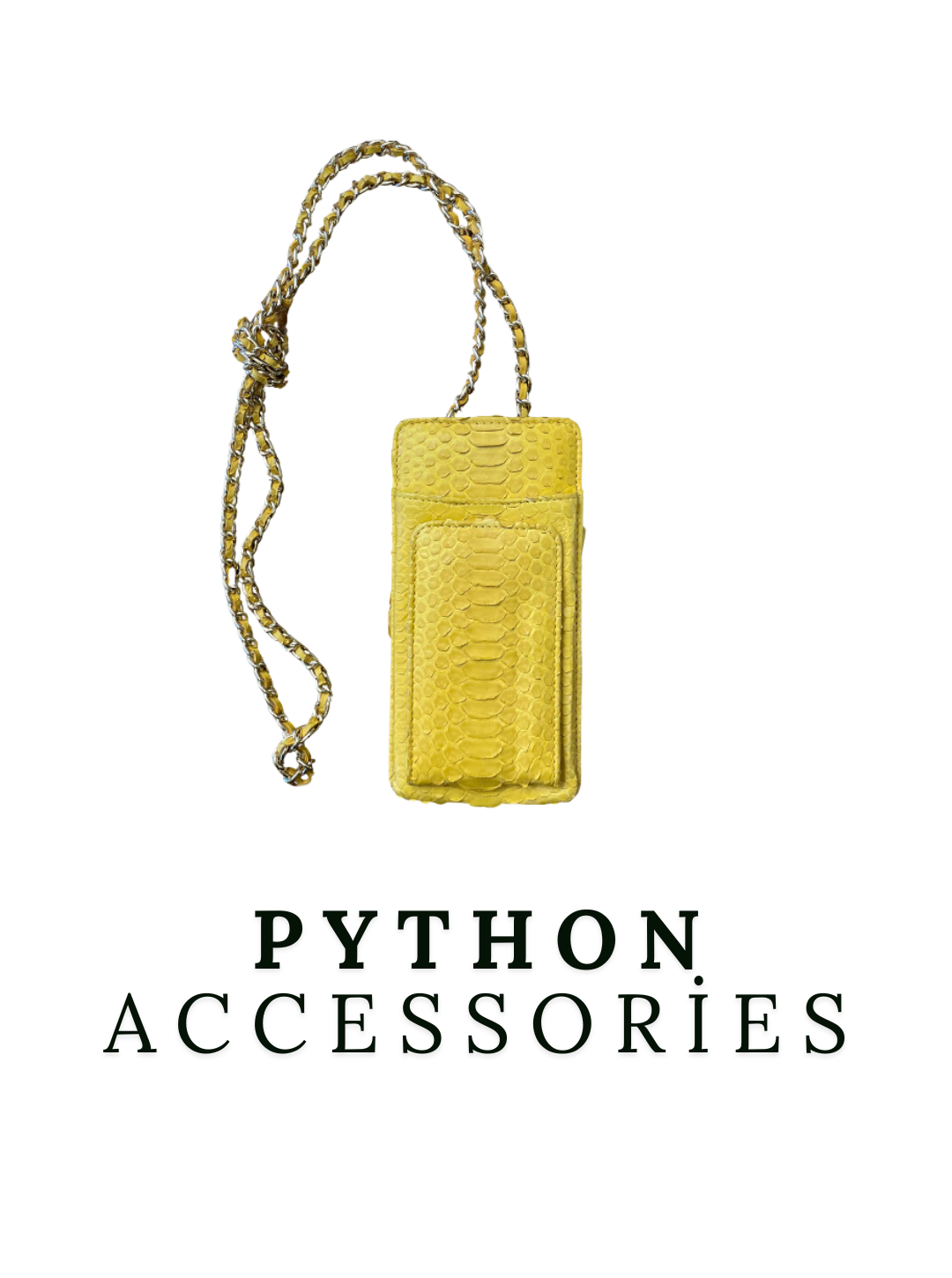CASHHIMI® - PYTHON ACCESSORİES