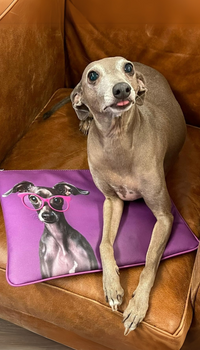 CICI THE BAGS