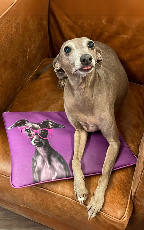 CICI THE BAGS