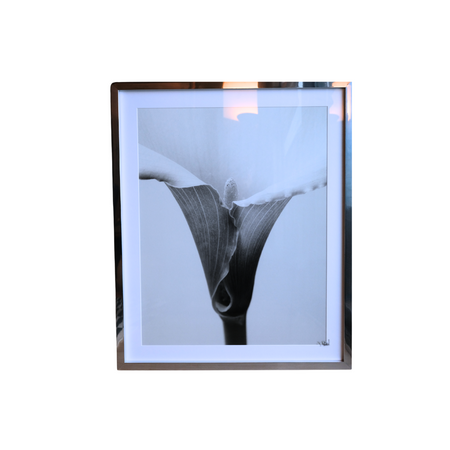 Calla - Vintage Print Tablo