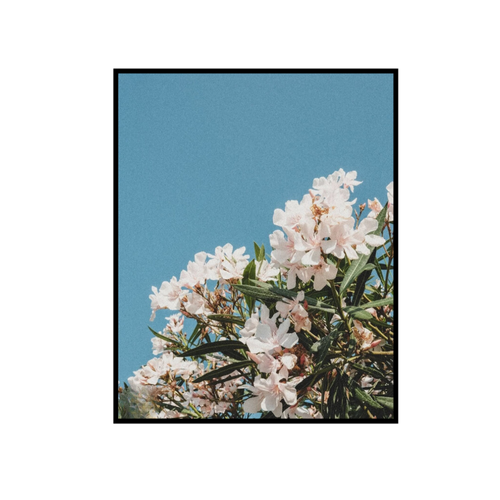 Flower Bloom