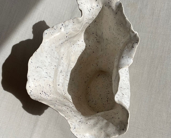 Shell Vase